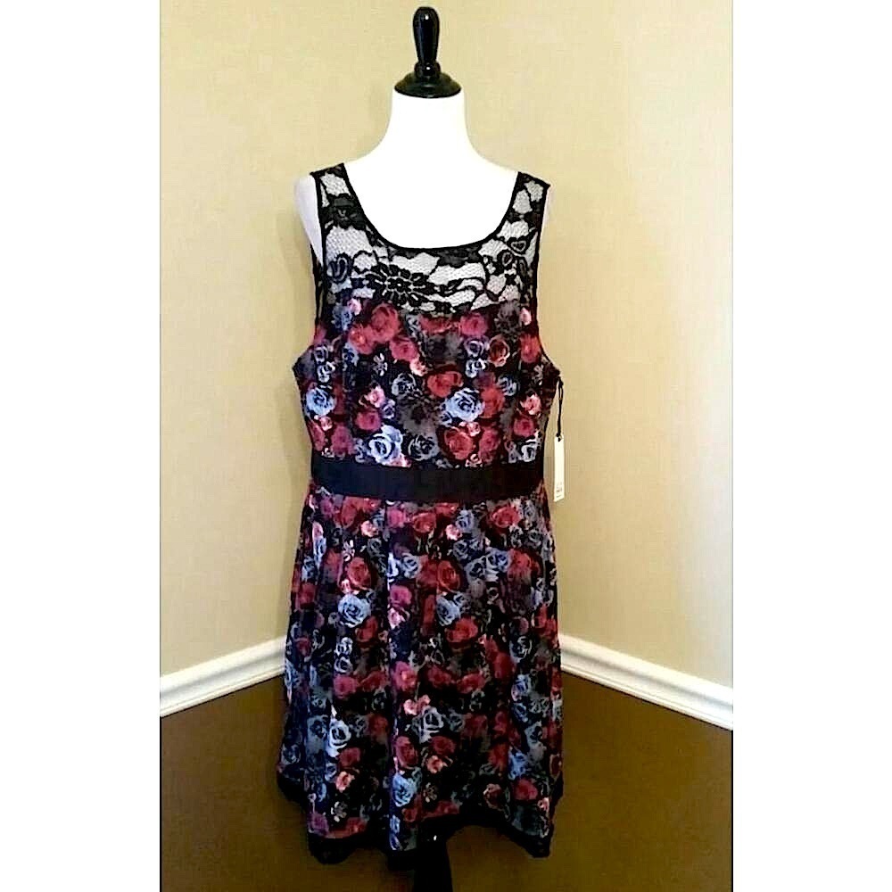 BB Dakota ModCloth Black Lace Yoke Floral Print Sleeveless Dress Whimsigoth